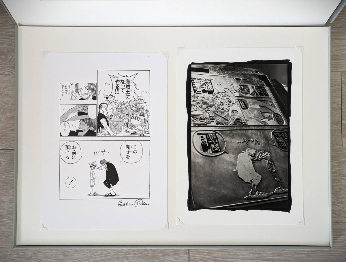 マンガアートヘリテージ ONE PIECE / Regenesis(box)